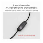 Model 3/Y/X/S（2021-2023） Frunk LED Bluetooth RGB Lighting Kit