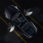 Angel Wings Door Welcome Lights for Model 3/Y/S/X Angel Wings 2 PCS